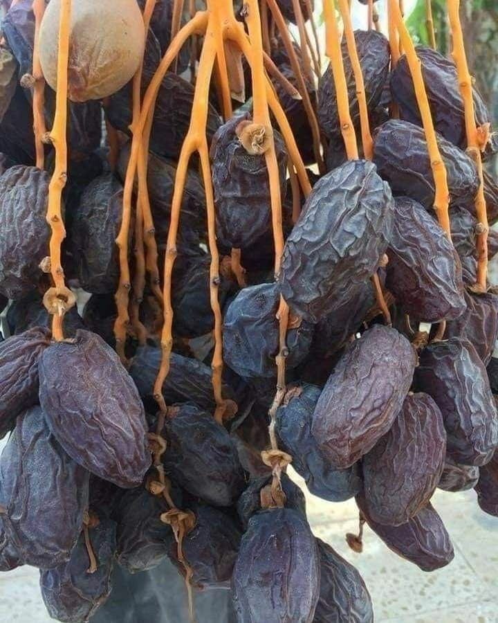 Dattes Ajwa de Médine 500g Qualité supérieure